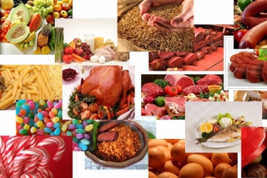 MOLDOVA FOOD TECHNOLOGY 2015 ULUSLARARASI GIDA FUARI