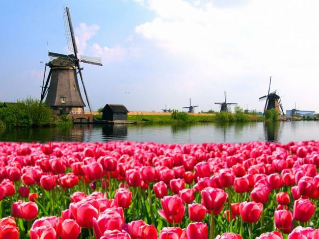 HOLLANDA İŞ VE İNCELEME GEZİSİ