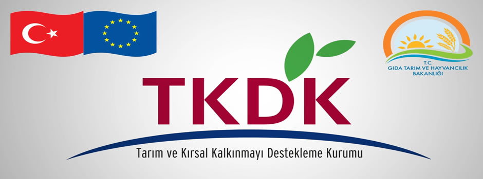 TKDK EĞİTİMİ