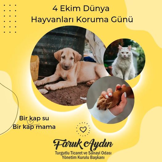 4 Ekim Dünya Hayvanları Koruma Günü