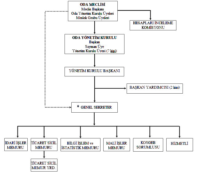 Organizasyon Şeması