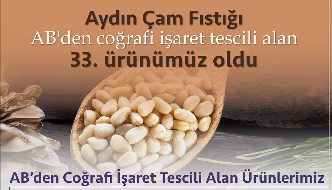 Aydın Çam Fıstığı, AB’den Coğrafi İşaret Tescili aldı