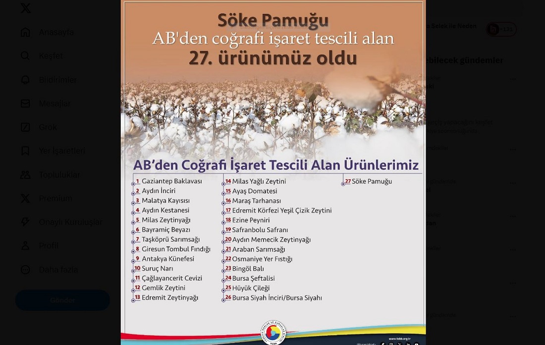 Avrupa Birliği’nin ilk tescilli pamuğu Türkiye’den