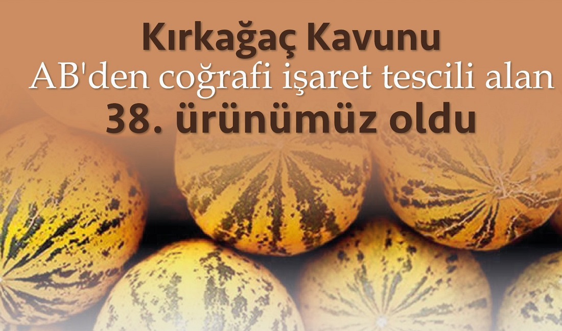 Kırkağaç Kavunu, AB’den Coğrafi İşaret Tescili aldı