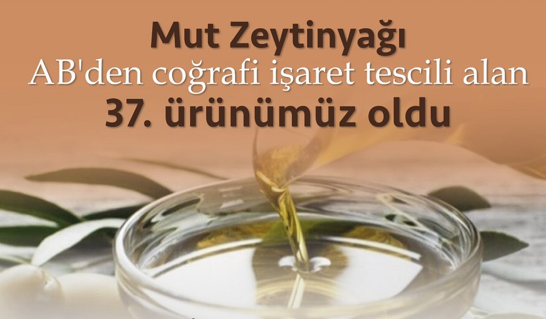 Mut Zeytinyağı, AB’den Coğrafi İşaret Tescili aldı