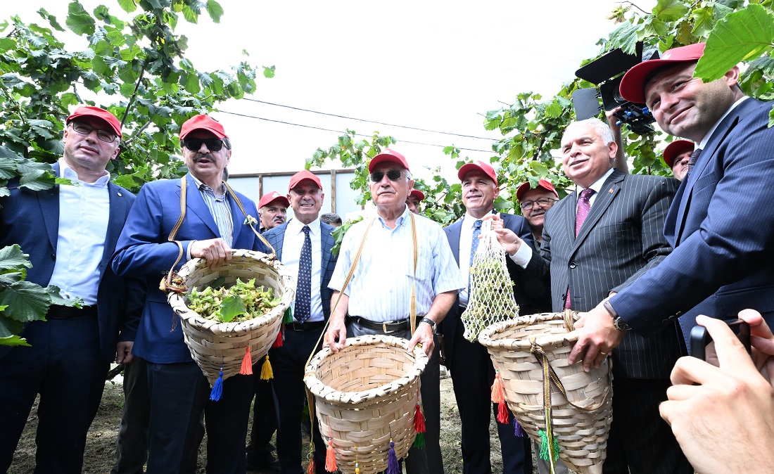 Hisarcıklıoğlu, fındık hasat şenliğine katıldı