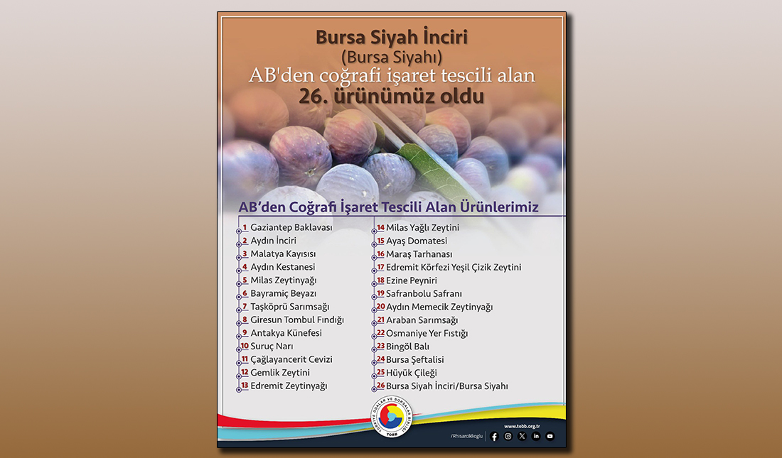 Hisarcıklıoğlu’ndan AB’den coğrafi işaret tescili alan Bursa Siyah İnciri için tebrik mesajı