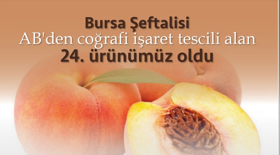 AB’den coğrafi işaret tescili alan 24. ürün Bursa Şeftalisi oldu