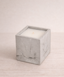 Alternative view of KOLON 10